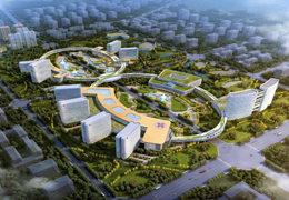 云南省滇西区域医疗中心建设项目